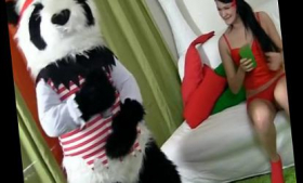 Panda is enticed by a sexy brunette in red