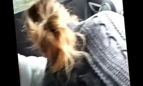 In the car, blonde milf blowjob doesn't like catching
